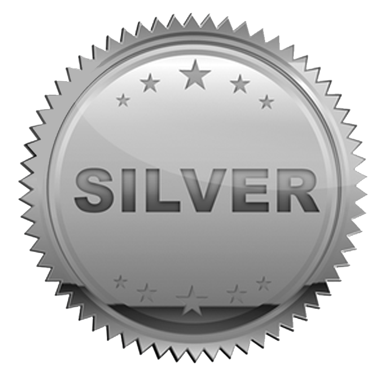Silver-Icon